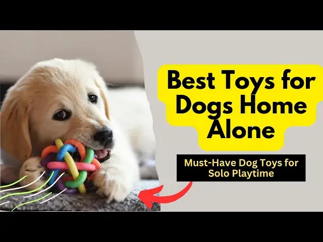 'Video thumbnail for Best Toys for Dogs Home Alone: Doggy Daycare at Home'