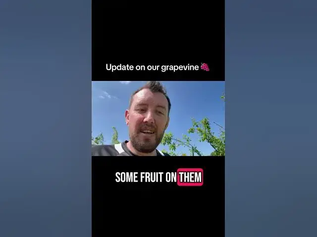 'Video thumbnail for Grapevine Update | How Our Vines Are Growing This Season!'