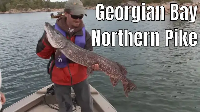 'Video thumbnail for Big Georgian Bay Northern Pike | Fish'n Canada'