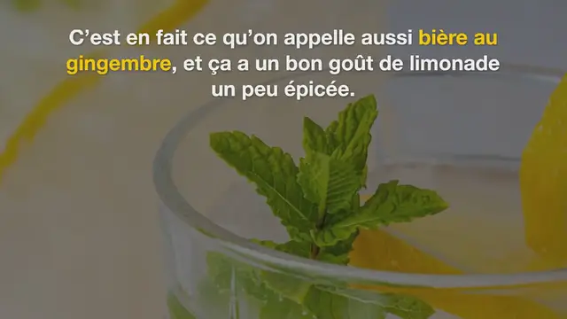 'Video thumbnail for Ginger Beer maison facile et rapide'