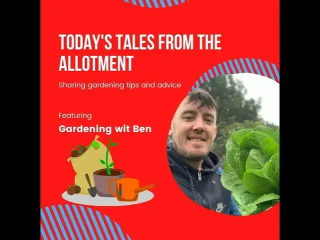 'Video thumbnail for Today’s Allotment & Garden Diary | Stories, Tasks & Growing Moments'
