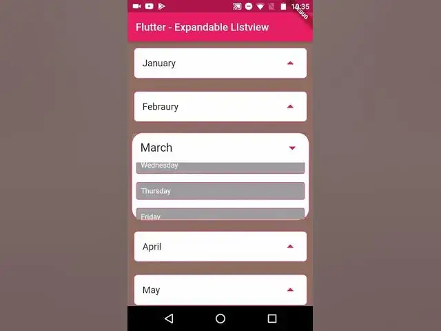 'Video thumbnail for Expandable Listview - Flutter'
