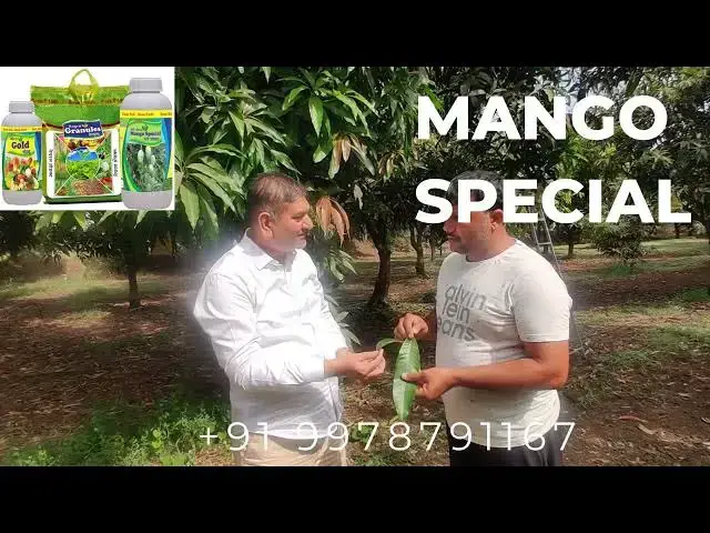 'Video thumbnail for Mango Leaf Comparission'