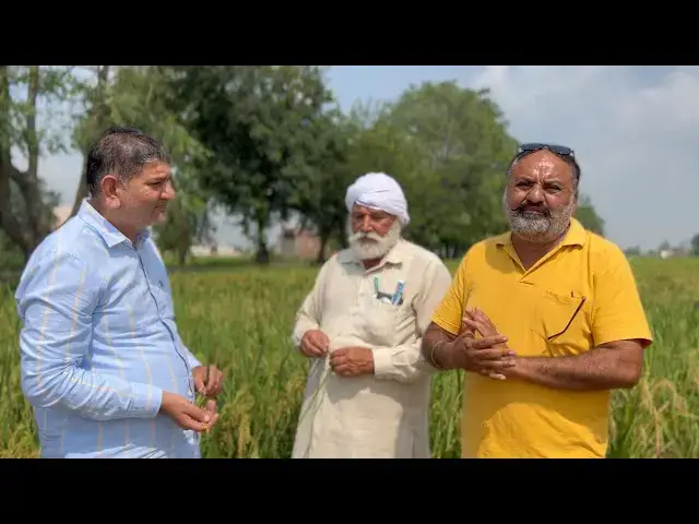 'Video thumbnail for 3-4 Quintal Extra Paddy with Organic Fertiliser Dhanya Special from Gujarat Bio Organics'