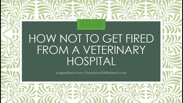 'Video thumbnail for How not to get fired as a veterinary client'