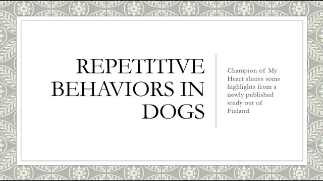 'Video thumbnail for Repetitive Behaviors in Dogs'