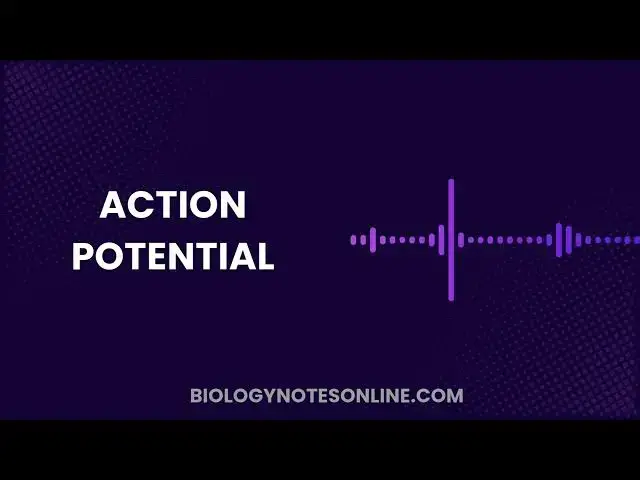 'Video thumbnail for What is Action Potential?'