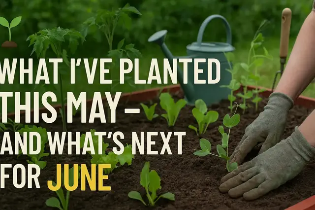 'Video thumbnail for 🌱 What I’ve Planted This May – And What’s Next for June'