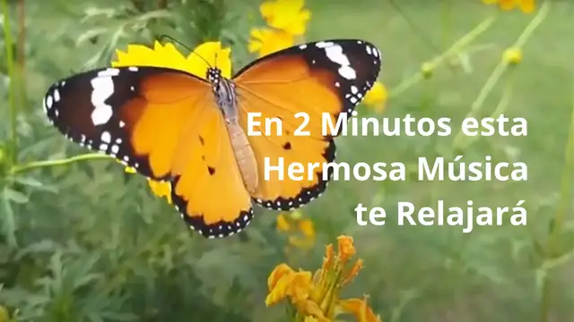'Video thumbnail for Esta Hermosa Música te Relajará en 2 Minutos. Compruébalo.'