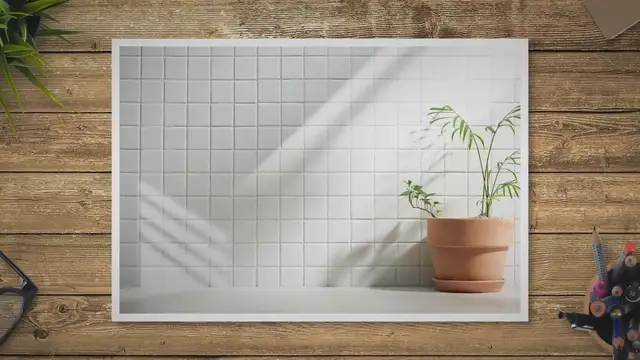 'Video thumbnail for 화장실 식물 두기 좋은 5가지 종류 알아보기'