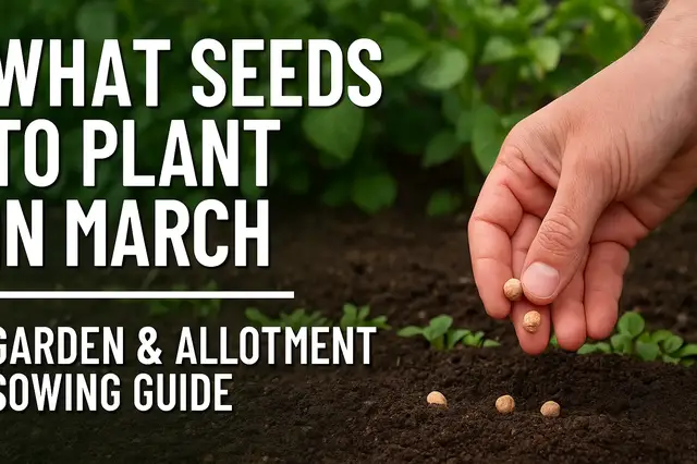 'Video thumbnail for What Seeds to Plant in March | Garden & Allotment Sowing Guide'