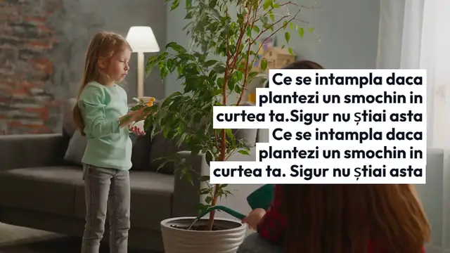 'Video thumbnail for Ce se intampla daca plantezi un smochin in curtea ta. Sigur nu știai asta'