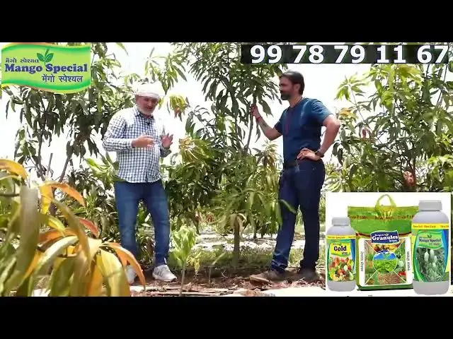 'Video thumbnail for खेती को बिज़नेस की तरह करो तो ही पैसा मिलेगा। प्रगतिशील किसान : प्रवीण पटेल सूरत।'