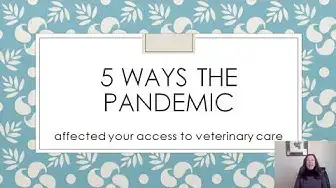 'Video thumbnail for 5 ways pandemic affected veterinary medicine'