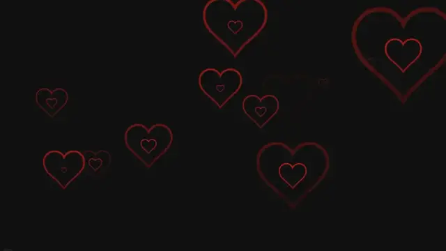 'Video thumbnail for Heart Dog - Surviving the Loss of Your Canine Soul Mate'