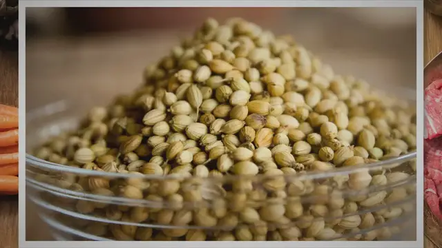 'Video thumbnail for Harvesting and Storing Coriander Seeds: A Complete Guide'
