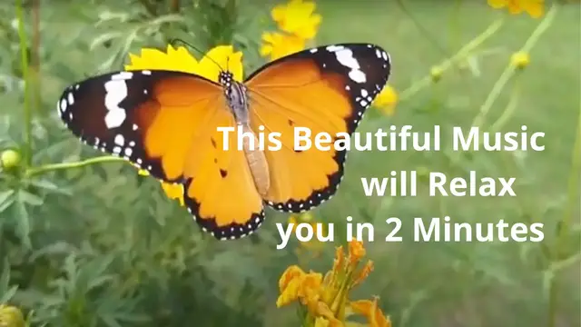 'Video thumbnail for This Beautiful Music will Relax You in 2 Minutes.'