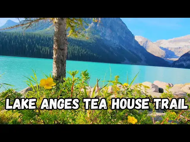 'Video thumbnail for Banff's Most Popular Lake Hike | Lake Agnes Teas House Trail'
