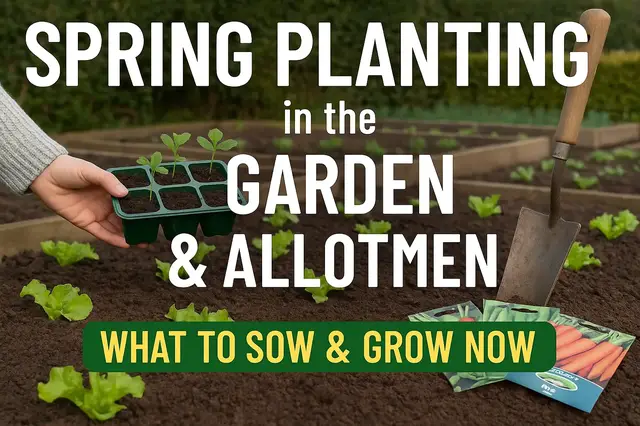 'Video thumbnail for Spring Planting in the Garden & Allotment | What to Sow & Grow Now'