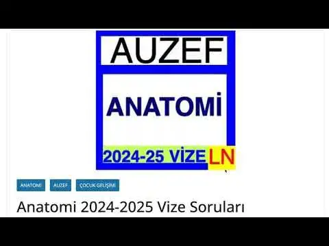 'Video thumbnail for Anatomi 2024-2025 Vize SorularıEğitim Videoları'