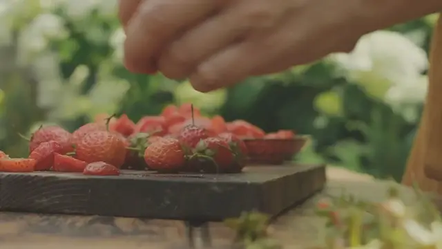 'Video thumbnail for Strawberry Fun Facts'