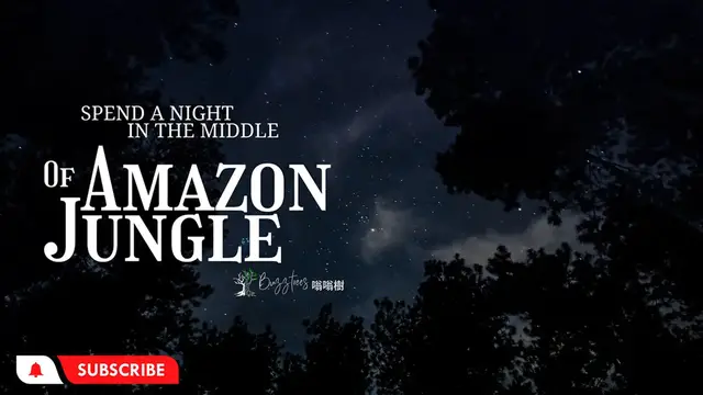 'Video thumbnail for Night Safari - The Sound of Amazon Jungle - Birds , Forest Sounds'