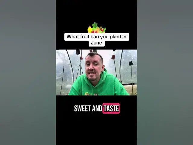 'Video thumbnail for What Fruit Can You Plant in June? | UK Allotment & Garden Guide'