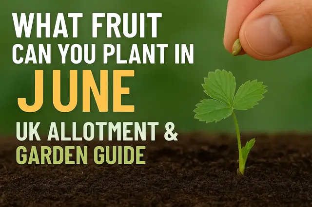 'Video thumbnail for What Fruit Can You Plant in June? | UK Allotment & Garden Guide'