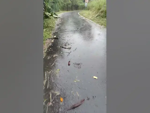 'Video thumbnail for rain walking alone in light rain'