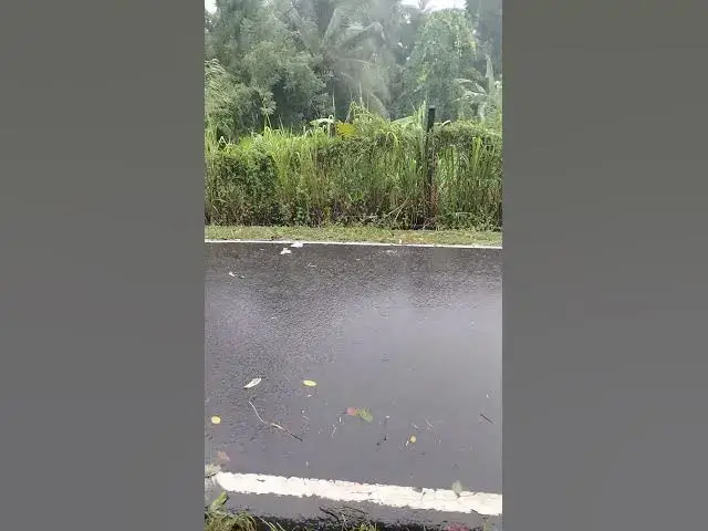'Video thumbnail for beautiful village road with rain'