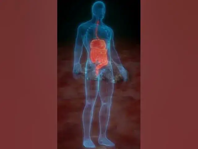 'Video thumbnail for The Little Fruit with Big Health Benefits #shorts'