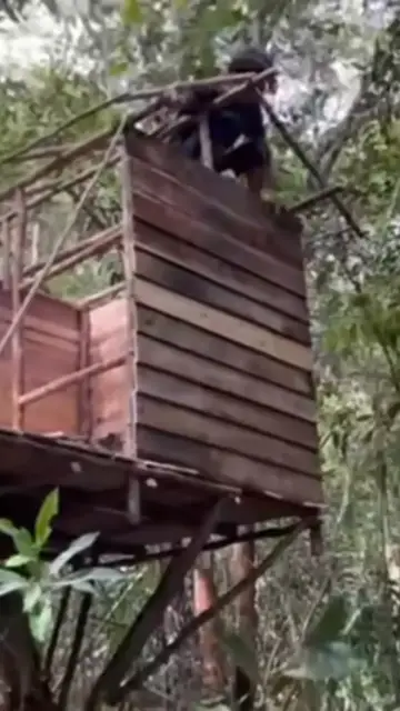 'Video thumbnail for #fishing #mancing #kisahhariini #survival'