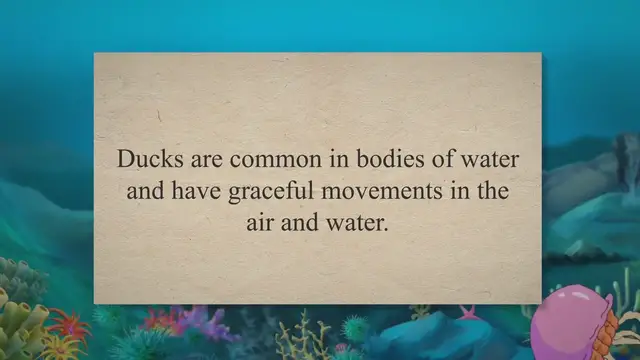 'Video thumbnail for How Fast Can Ducks Fly? (Exact Figure REVEALED!) 2023 » Petybird.com'