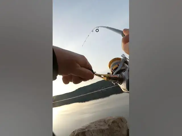 'Video thumbnail for Campin N Fishing #fishing #camping'