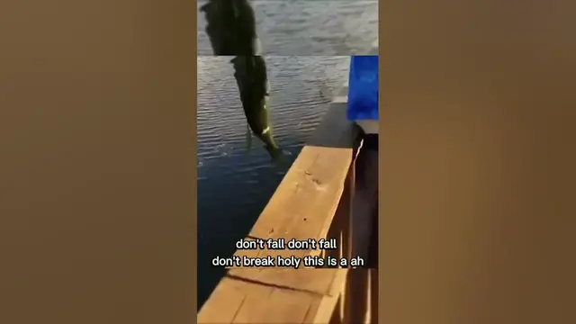 'Video thumbnail for Don't fall #bassfishing #fishingfails'