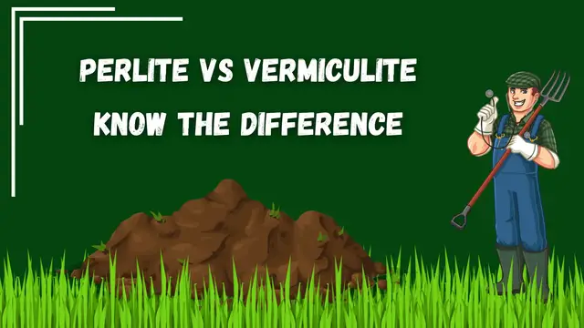 'Video thumbnail for Perlite Vs Vermiculite - Know the Difference'