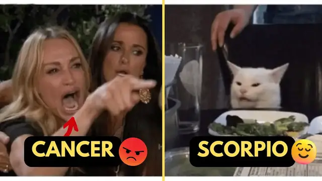 'Video thumbnail for Zodiac Signs Ranked by Temper | Angriest Zodiac Signs 2023'