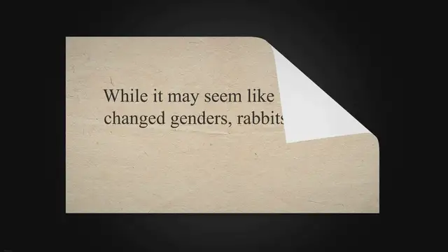 'Video thumbnail for Do Rabbits Change Gender? Rabbit Guide 2023'