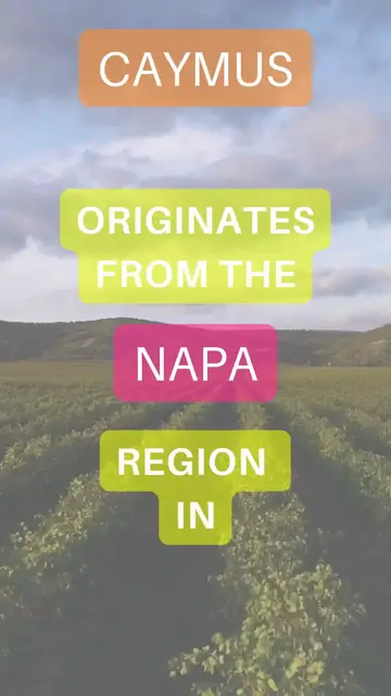 'Video thumbnail for 5 Great Alternatives to Caymus Wine'