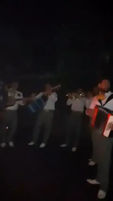 'Video thumbnail for Manifestantes en El Tirol protestan con mariachi contra la tala de cipreses. '