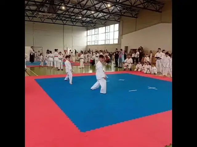 'Video thumbnail for Karateka de la SCM Zalău participă la faza zonală a Campionatului Național de Karate Tradițional 2'