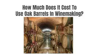 'Video thumbnail for How Much Does It Cost to Age Wine in Oak *Hint* It's More than Just the Barrel $$'