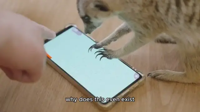 'Video thumbnail for BIZARRE INVENTIONS THAT EXISTS!'