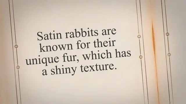 'Video thumbnail for Satin Rabbit – Complete Guide 2023'