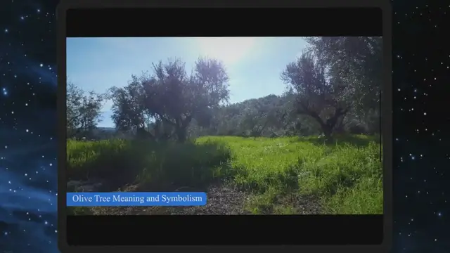 'Video thumbnail for Olive Tree Meaning and Symbolism'