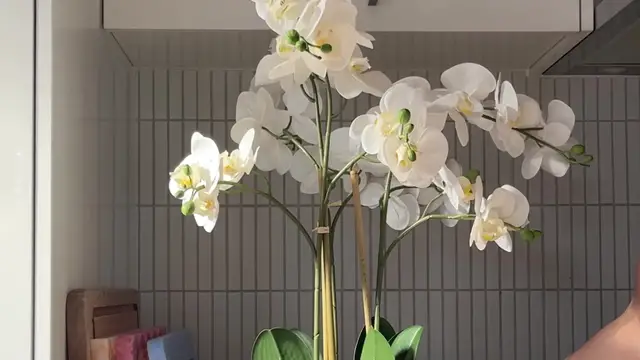 'Video thumbnail for Decorating my Kitchen and Home with Faux Flowers'