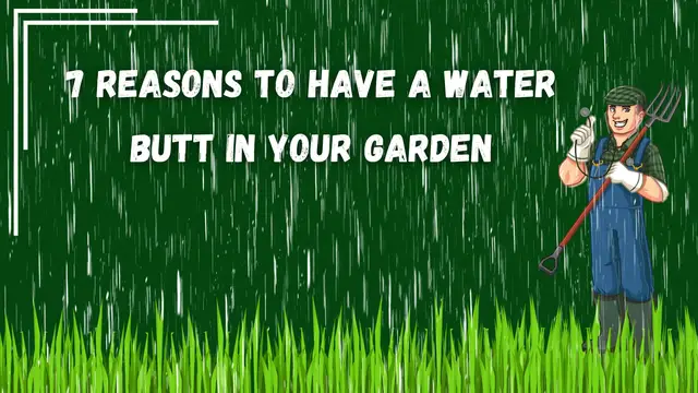 'Video thumbnail for 7 Reasons to Have a Water Butt in Your Garden'