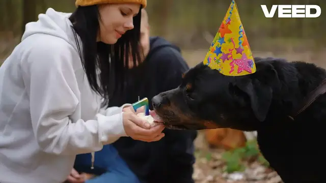 'Video thumbnail for Transform Your Dog's Diet Fresh Dog Food Delivery Today!'