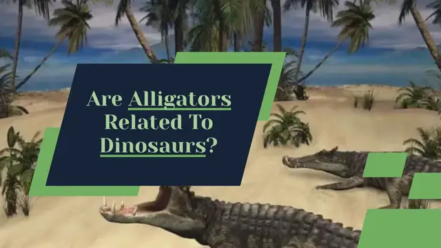 'Video thumbnail for Are Alligators Related to Dinosaurs_final'