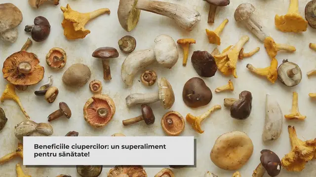 'Video thumbnail for Ciupercile: Superalimentul pentru o Sănătate de Fier'